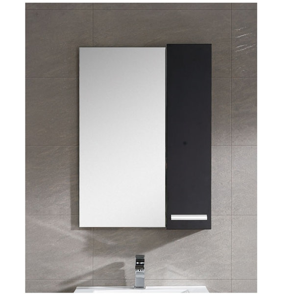 Modern Medicine AllModern